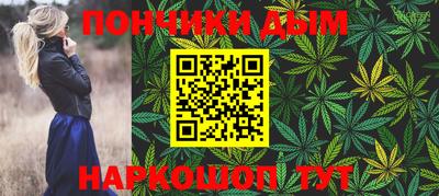мдпв Кингисепп