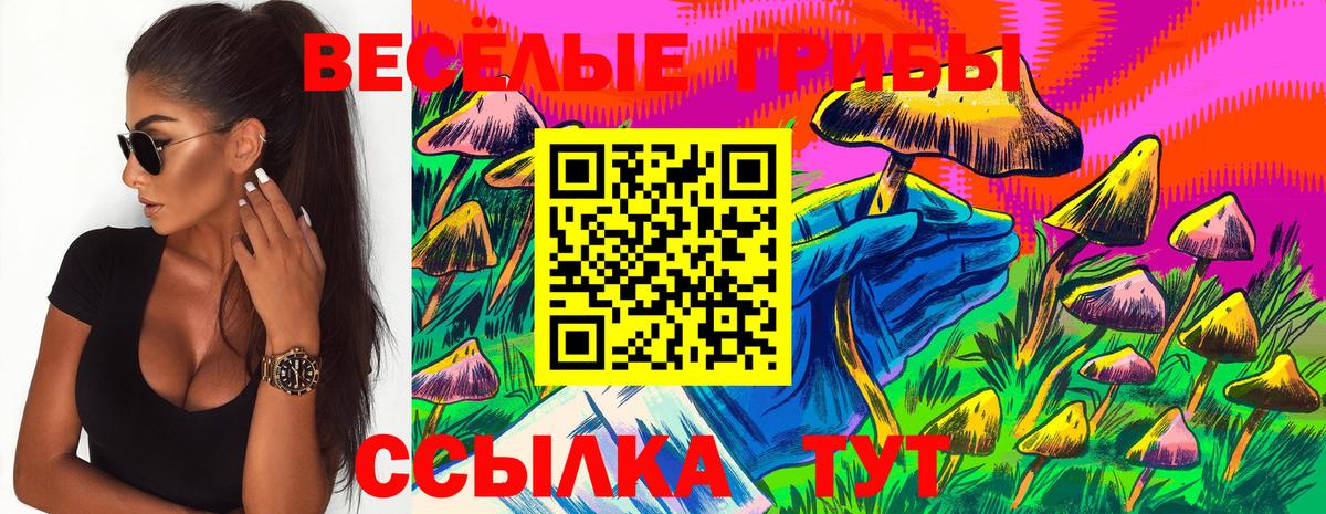 Галлюциногенные грибы мицелий Кумертау